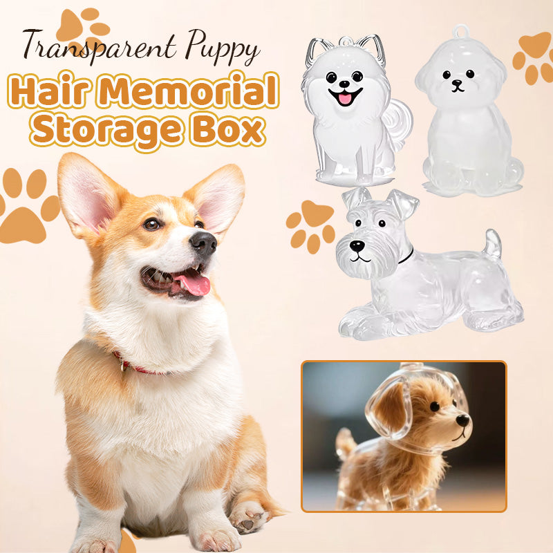 Transparent Puppy Hair Memorial Storage Box