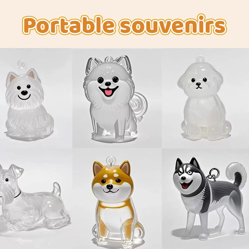 Transparent Puppy Hair Memorial Storage Box