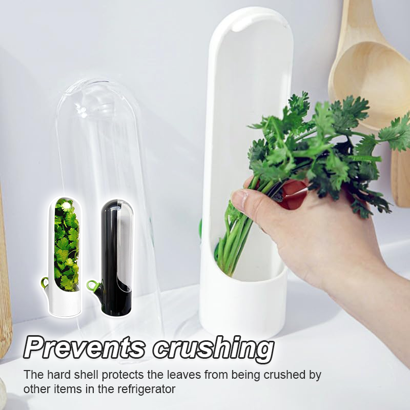 Vegetable Preservation Cup
