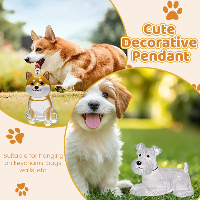 Transparent Puppy Hair Memorial Storage Box