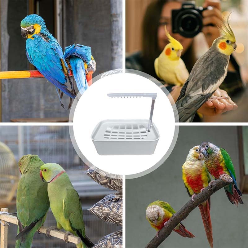 ๐ฆ Parrot Shower Bath Machine โ Make Bath Time Fun & Refreshing! ๐ฟ๐ฆ