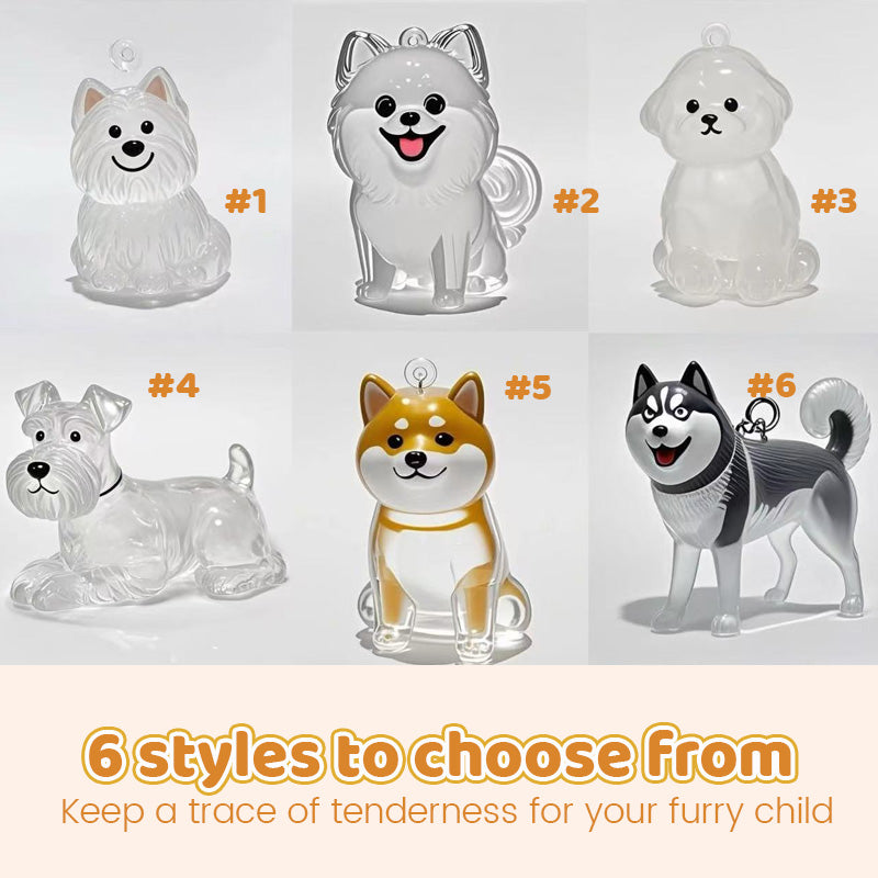 Transparent Puppy Hair Memorial Storage Box